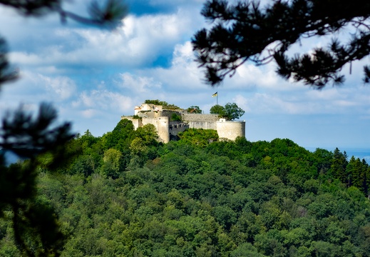 Burg Hohenneuffen