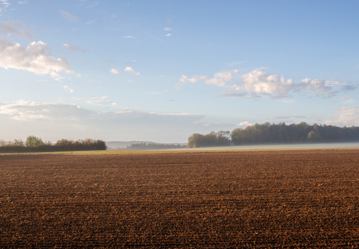 Morgendunst