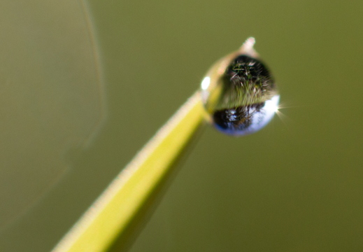 Welt in der Linse